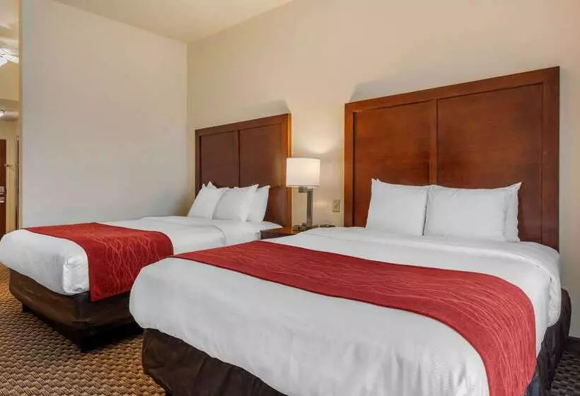 호텔 Comfort Inn & Suites Airport