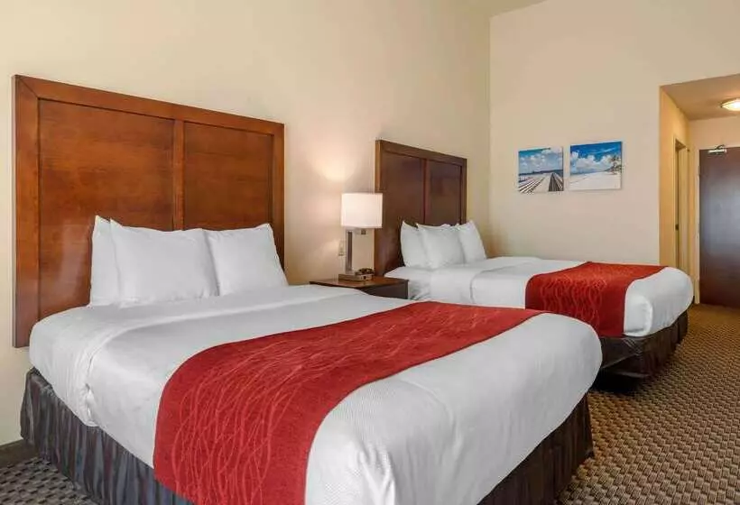 호텔 Comfort Inn & Suites Airport