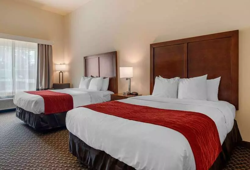 호텔 Comfort Inn & Suites Airport