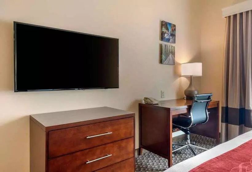 호텔 Comfort Inn & Suites Airport