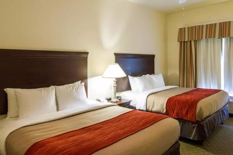 호텔 Comfort Inn & Suites Airport