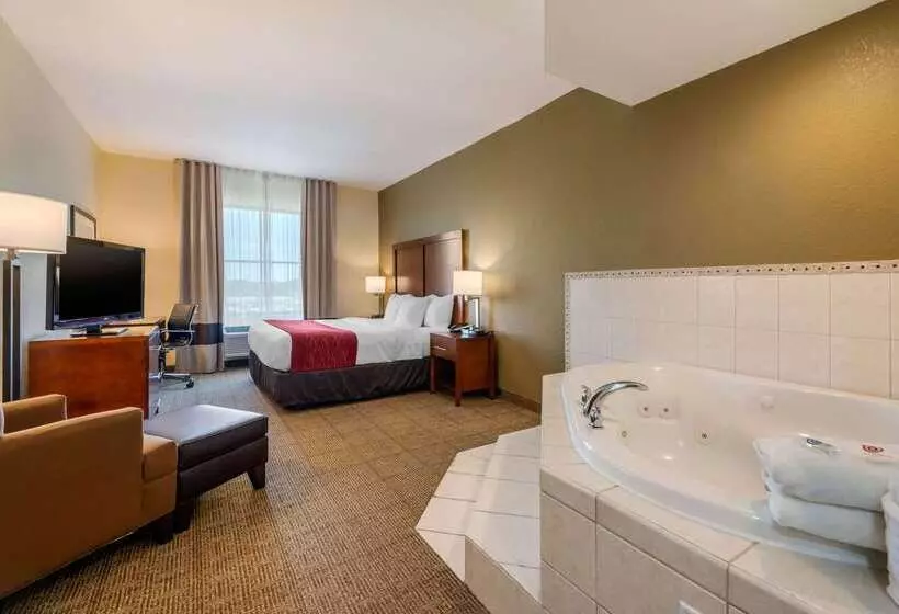 호텔 Comfort Inn & Suites Northeast Gateway