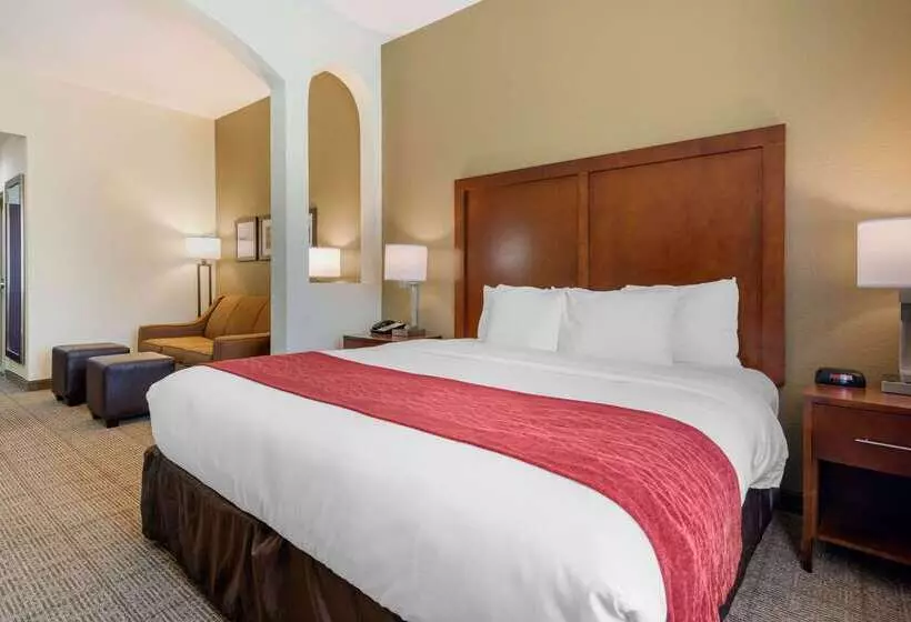 호텔 Comfort Inn & Suites Northeast Gateway