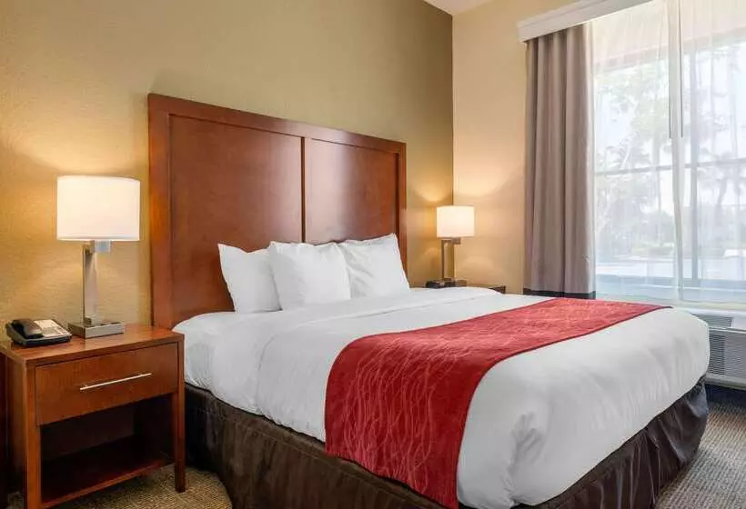 호텔 Comfort Inn & Suites Northeast Gateway