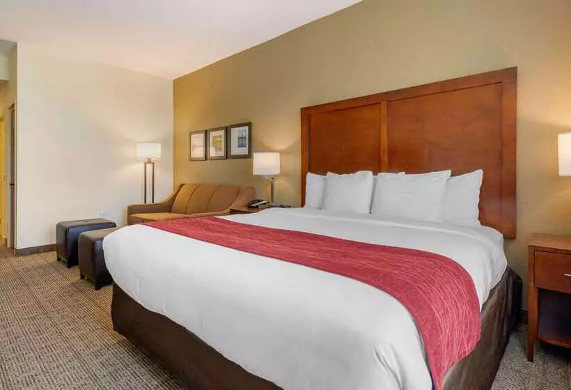 호텔 Comfort Inn & Suites Northeast Gateway