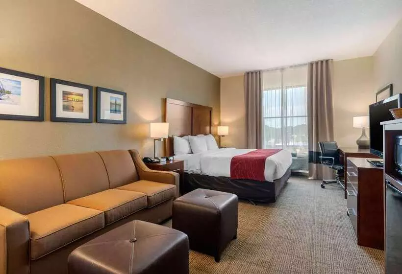 호텔 Comfort Inn & Suites Northeast Gateway