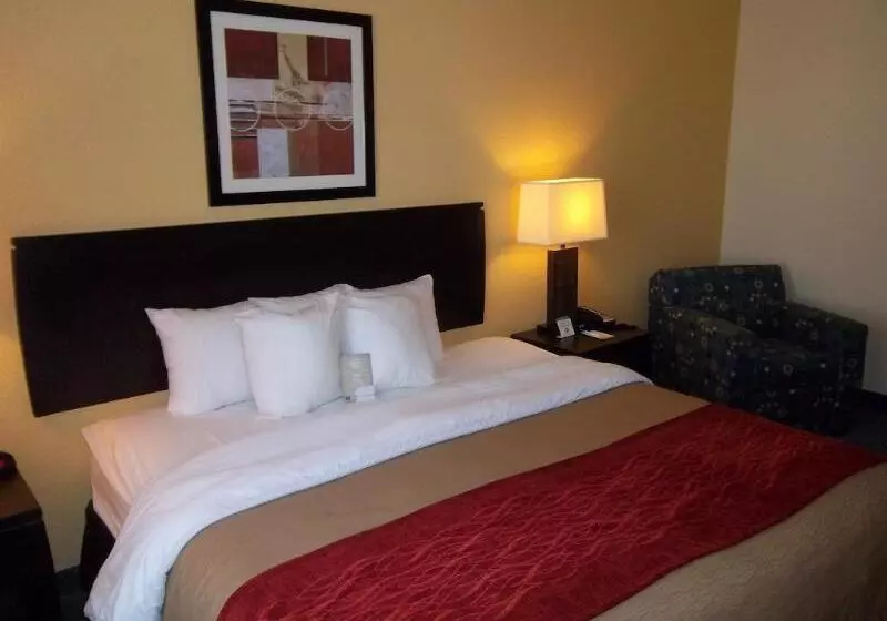 호텔 Comfort Inn & Suites Northeast Gateway