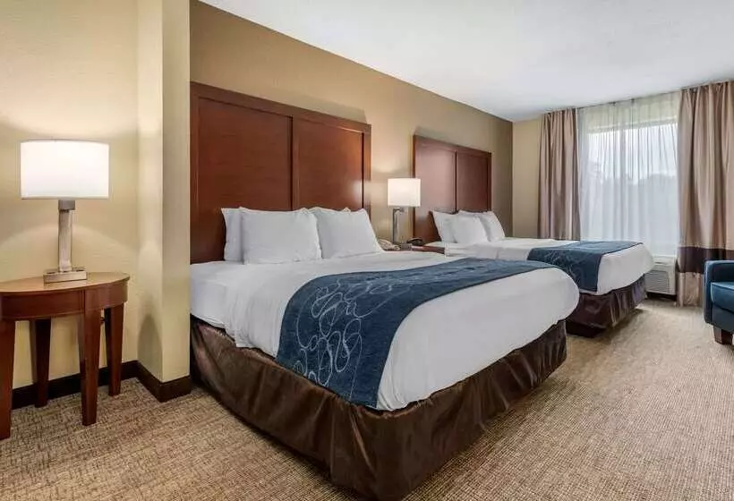 Hotel Comfort Suites Daytonwright Patterson