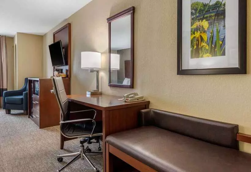 Hotel Comfort Suites Daytonwright Patterson