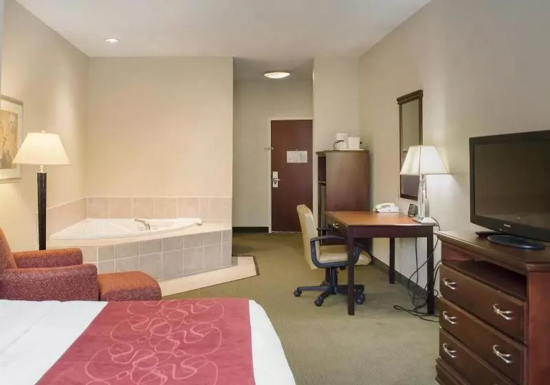 Hotel Comfort Suites Daytonwright Patterson
