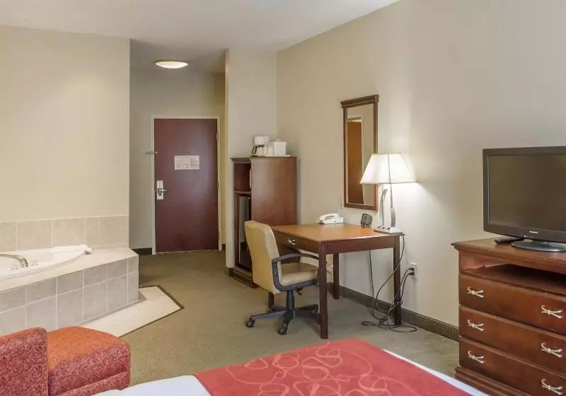 Hotel Comfort Suites Daytonwright Patterson