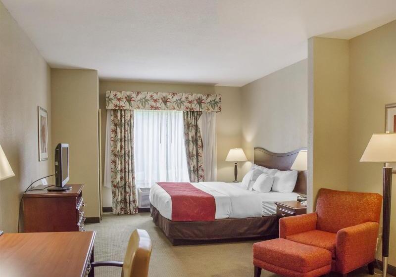 هتل Comfort Suites Daytonwright Patterson