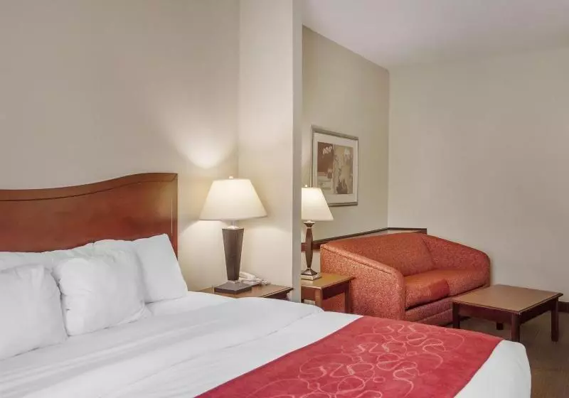 Hotel Comfort Suites Daytonwright Patterson