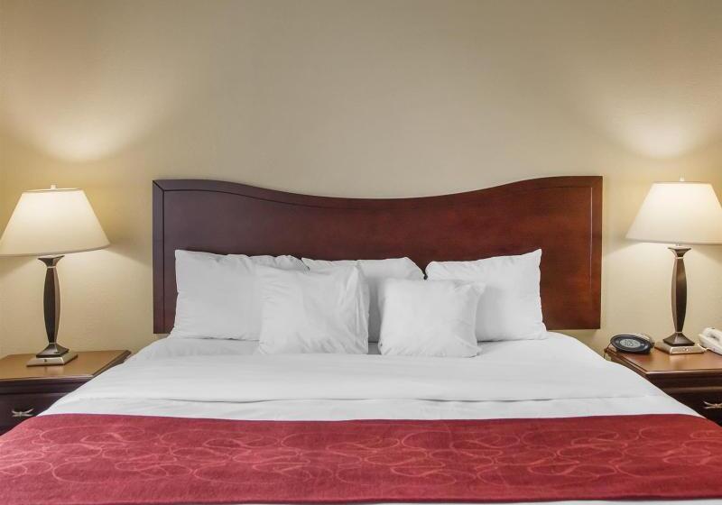 هتل Comfort Suites Daytonwright Patterson