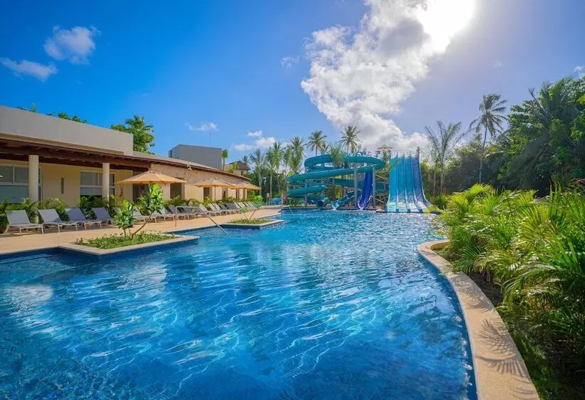 Отель Dreams Royal Beach Punta Cana All Inclusive