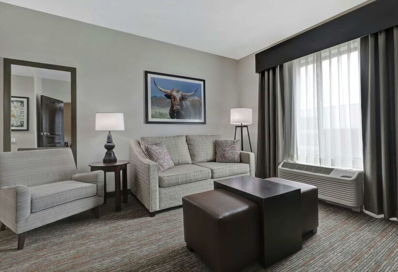 ホテル Homewood Suites By Hilton Mcallen