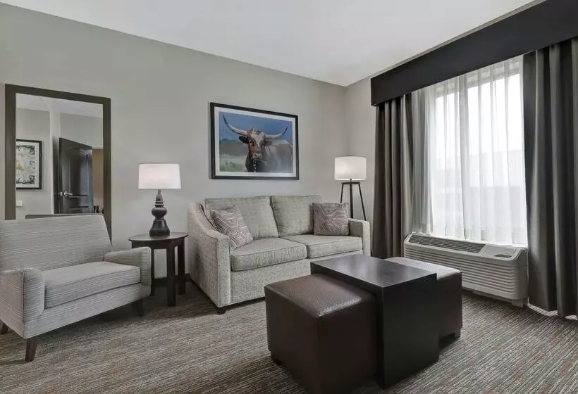 酒店 Homewood Suites By Hilton Mcallen