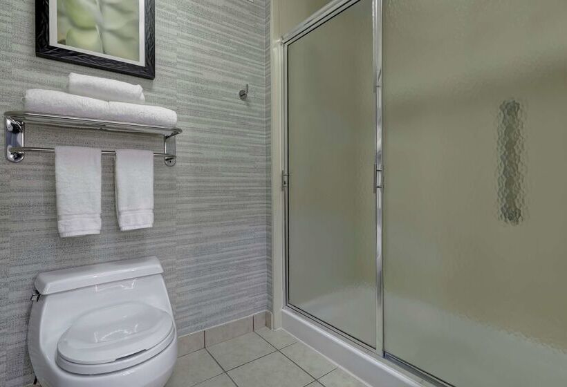 ホテル Homewood Suites By Hilton Mcallen