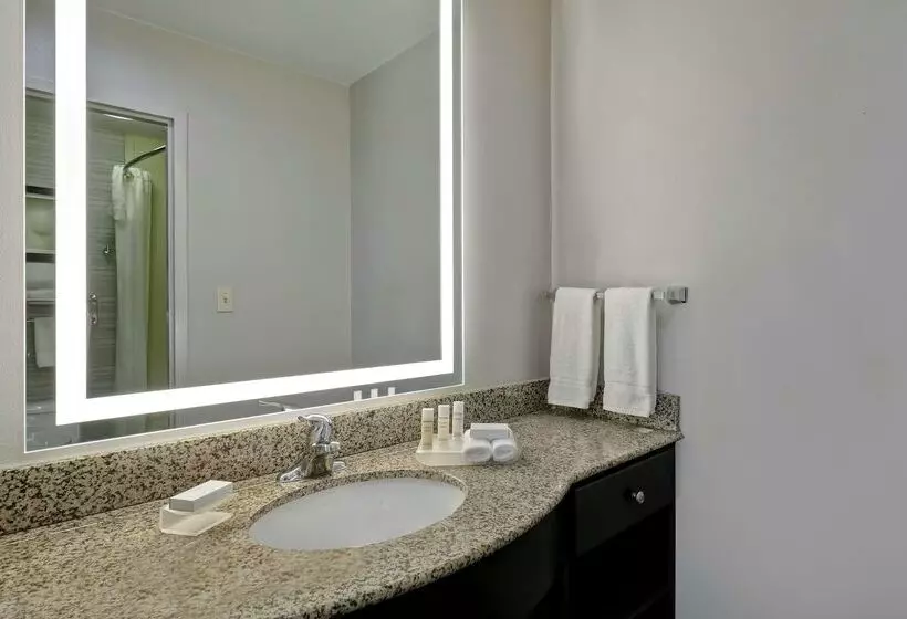 酒店 Homewood Suites By Hilton Mcallen