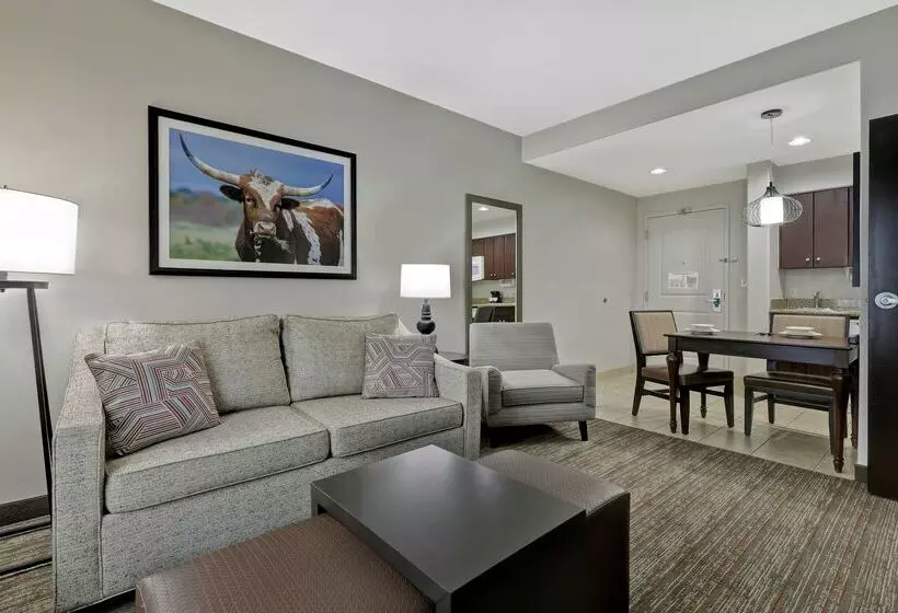 酒店 Homewood Suites By Hilton Mcallen