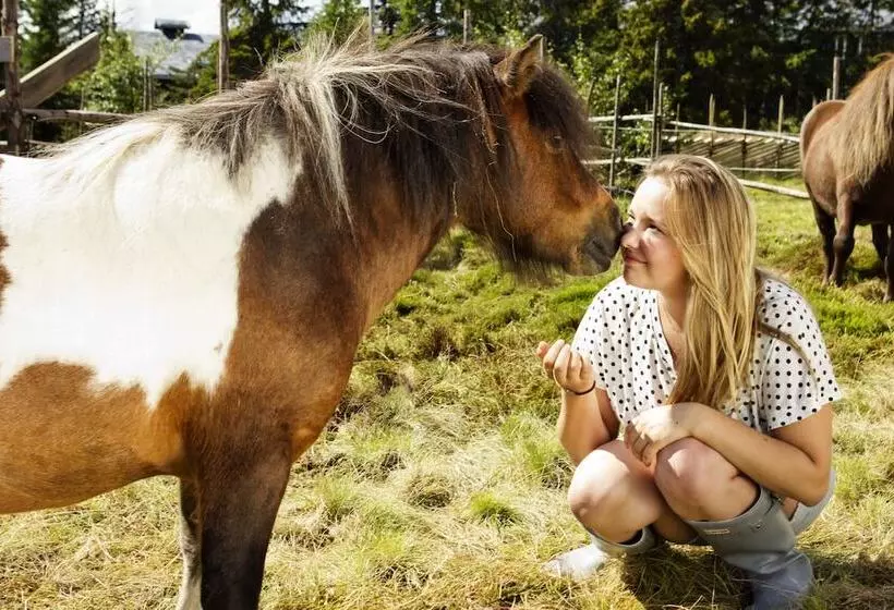 酒店 Norefjell Ski & Spa