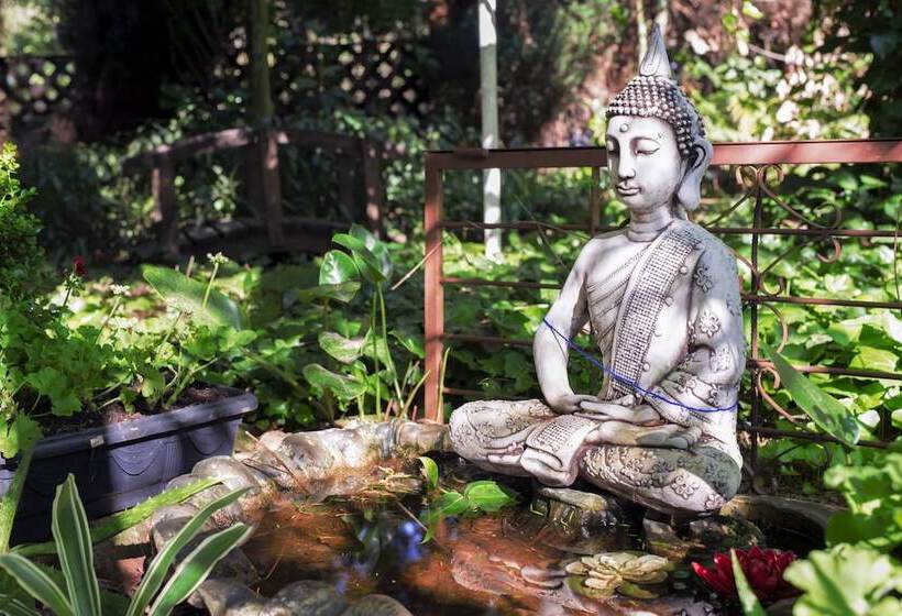 Don Ramon Hotel & Spa