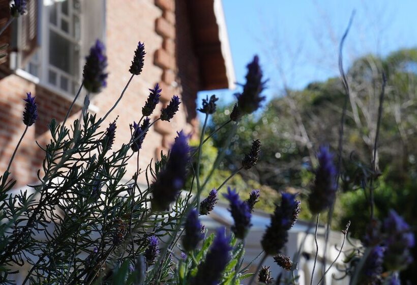 Don Ramon Hotel & Spa