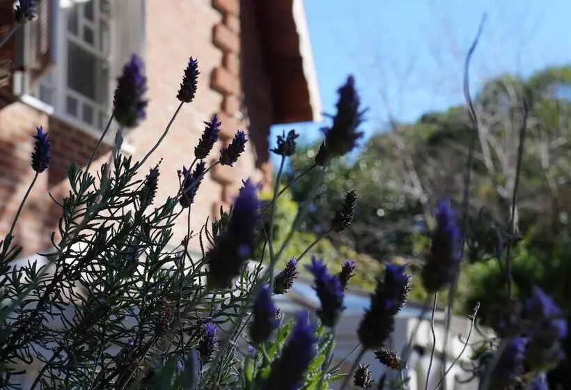 Don Ramon Hotel & Spa