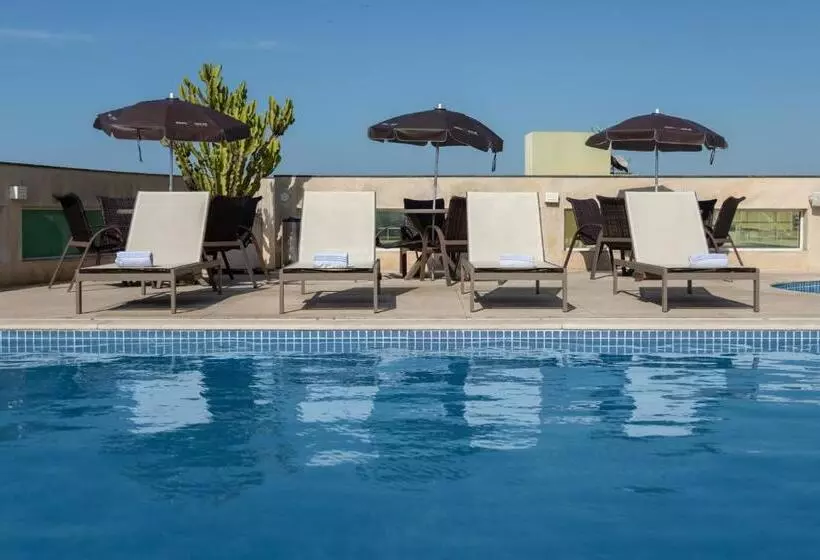 酒店 Royal Macae Palace