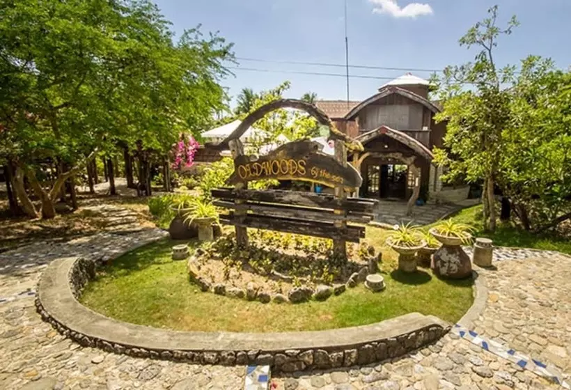 Hotelli Oldwoods By The Sea Nature Resort   Pangasinan