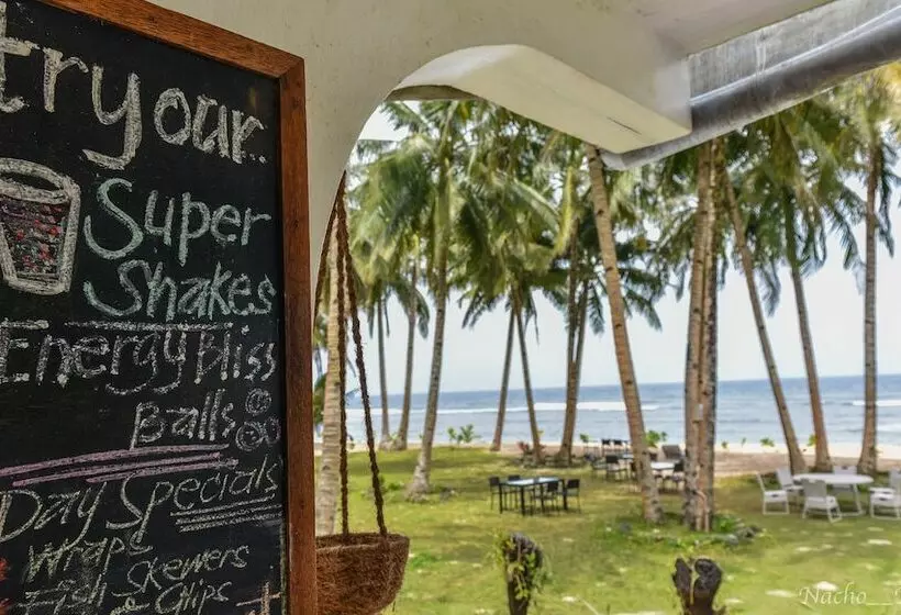 ホテル Pacifico Bigwish Beach Resort