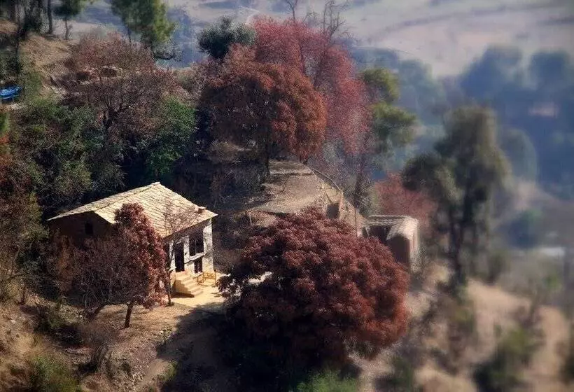 ホテル Daankudi Heritage House