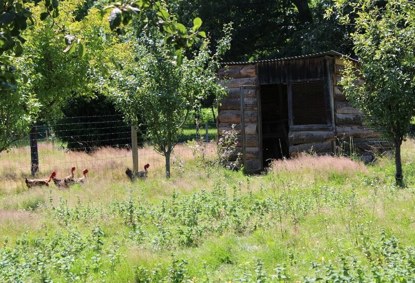 酒店 Ecogîte Rural La Clé Des Champs