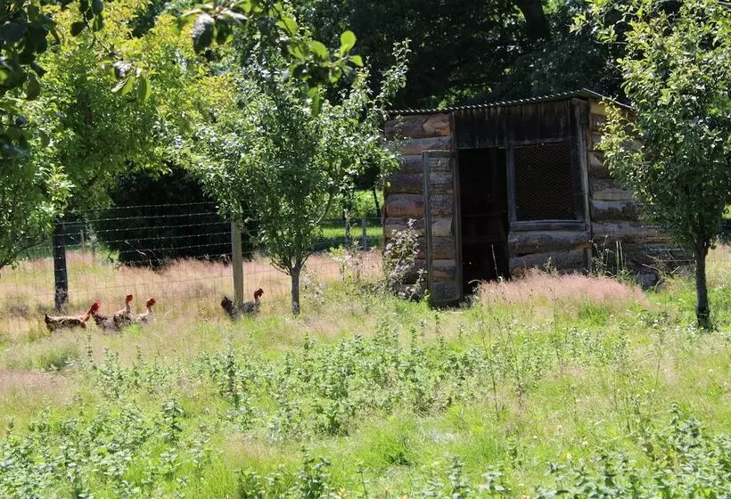 ホテル Ecogîte Rural La Clé Des Champs