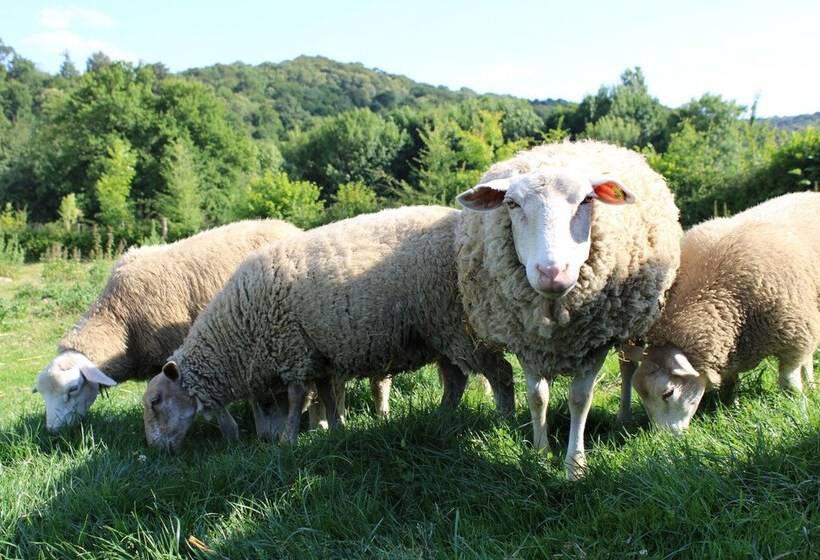 酒店 Ecogîte Rural La Clé Des Champs