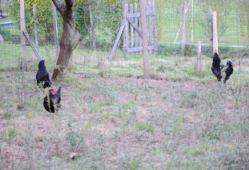 酒店 Ecogîte Rural La Clé Des Champs