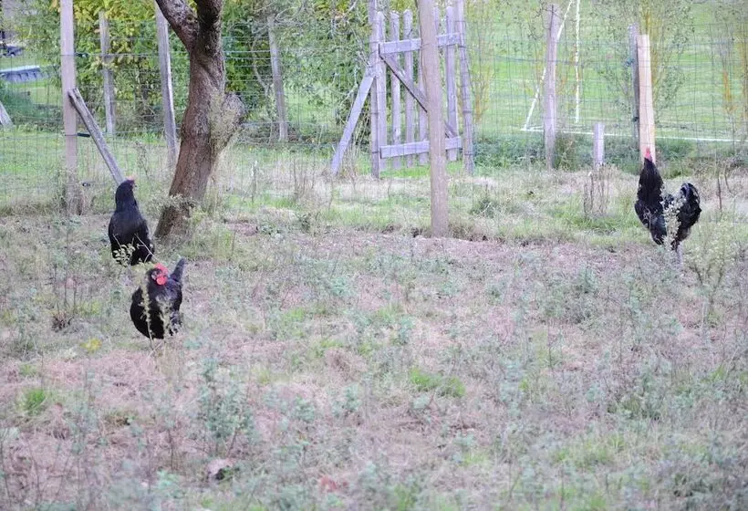 ホテル Ecogîte Rural La Clé Des Champs