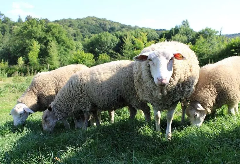 ホテル Ecogîte Rural La Clé Des Champs