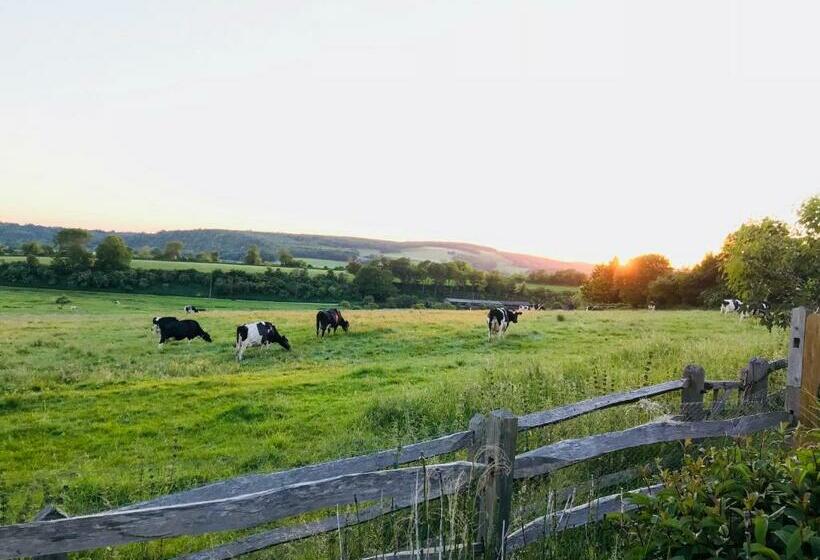 مبيت وإفطار The Cow Hide