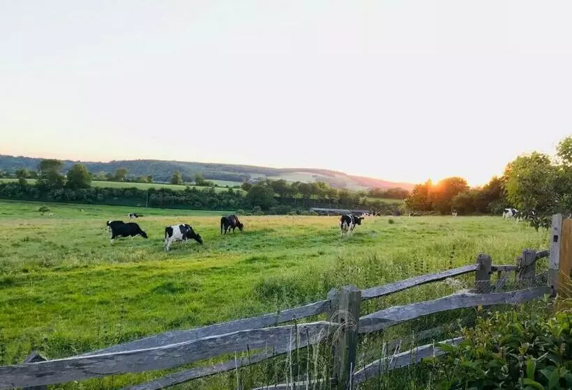 Aamiaismajoitus (B&B) The Cow Hide