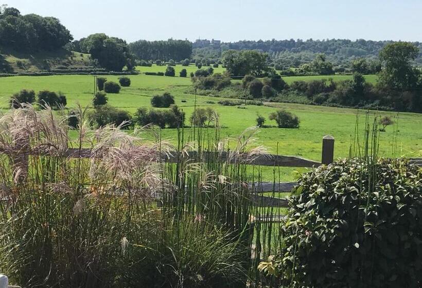 مبيت وإفطار The Cow Hide