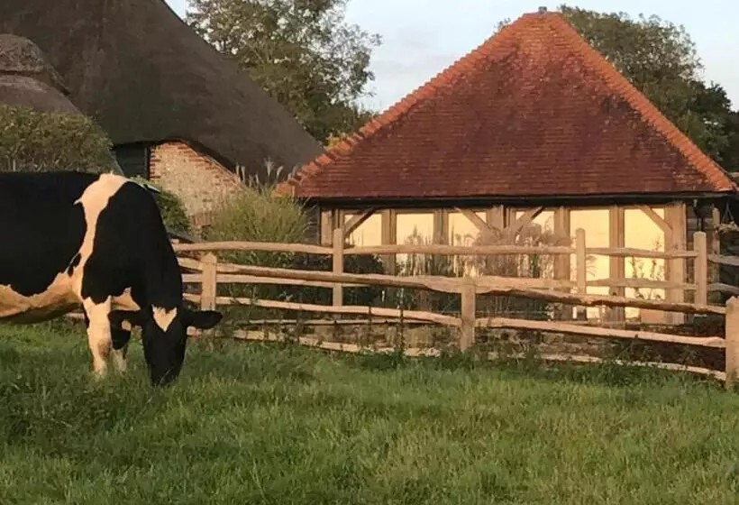 Aamiaismajoitus (B&B) The Cow Hide