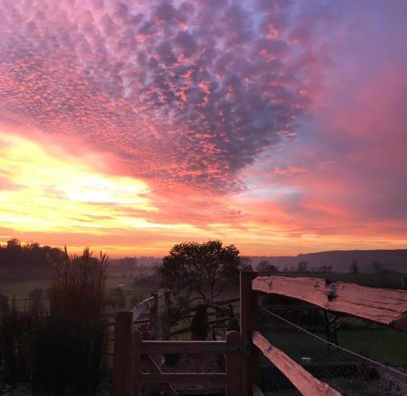 مبيت وإفطار The Cow Hide