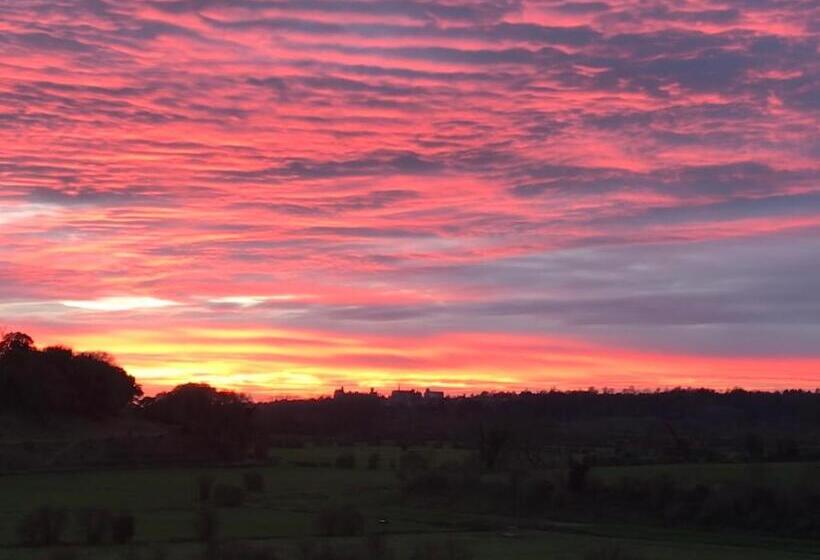 مبيت وإفطار The Cow Hide