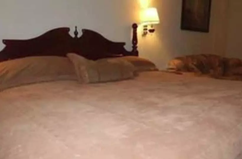 Hotelli Autel Rio Inn Luxury Inns