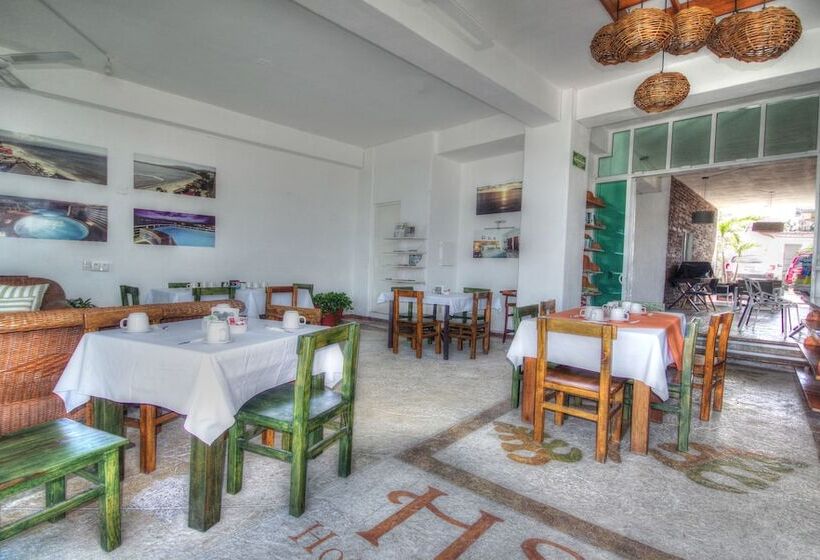 Отель Boutique Suites Nadia Bucerias