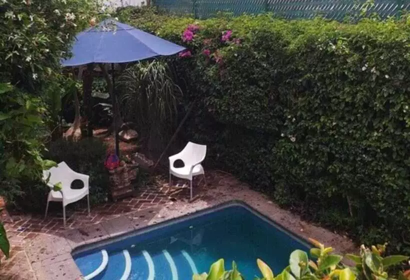 Hotelli Casa Flores Bed & Breakfast