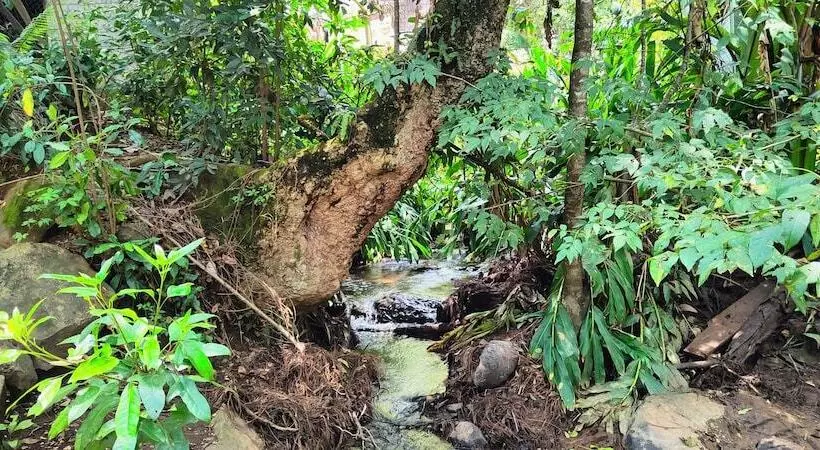 Encino House Hotel Boutique