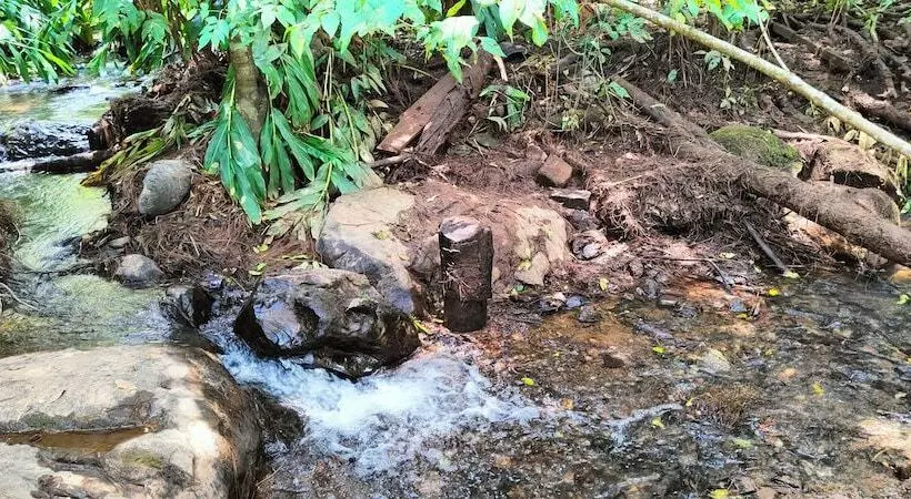 Encino House Hotel Boutique