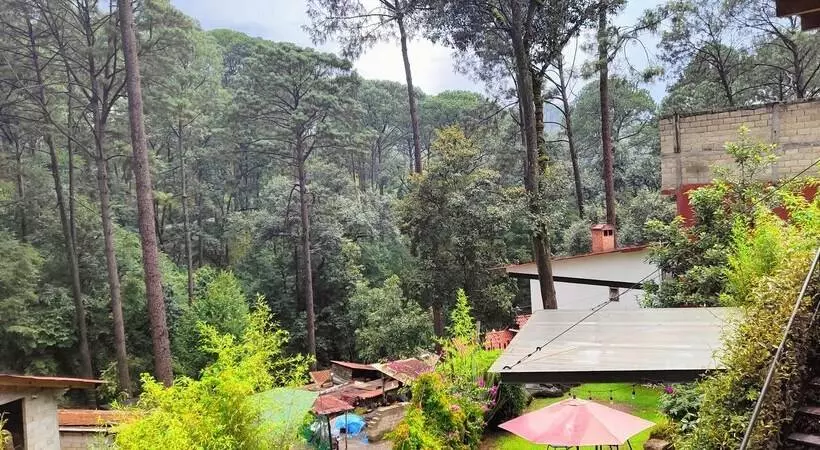 Encino House Hotel Boutique